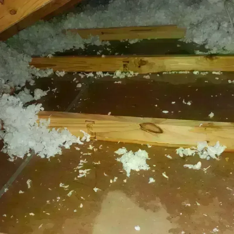 Attic Water Damage in Schaumburg, IL