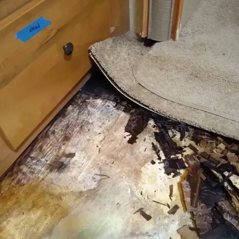 Wood Floor Water Damage in Schaumburg, IL